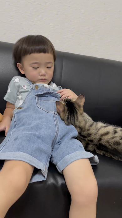猫が息子に寄り添う