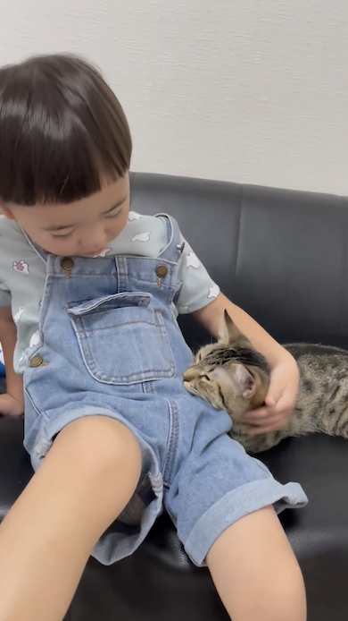 猫が息子に寄り添う