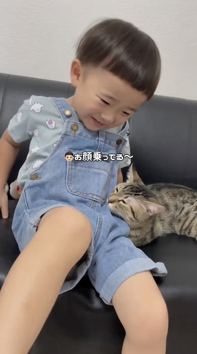猫が息子に寄り添う