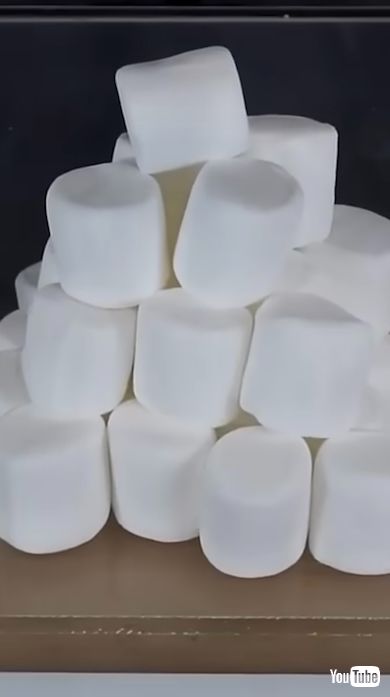 マシュマロを真空にする