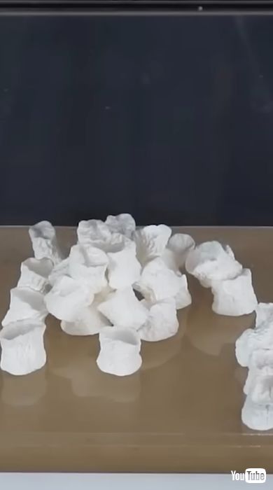 マシュマロを真空にする