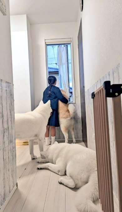 ワンコと女の子の写真