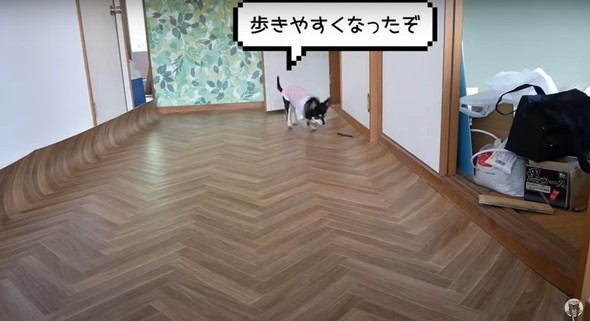 築古住宅のクッションフロアを張り替え