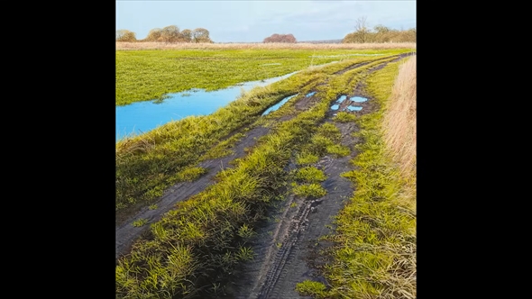 超リアルなあぜ道の油絵