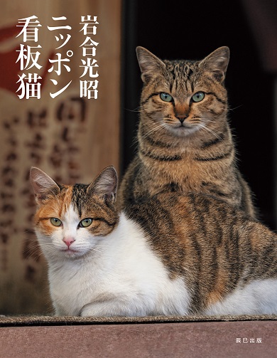 石川県輪島市・朝市通りの猫が表紙を飾る『岩合光昭 ニッポン看板猫』