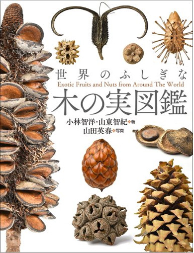 ジャンボタニシの卵塊