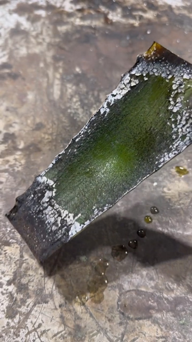 大阪染織機械 アロエ ガス切断機 炎 炙る 対決 熱 変化