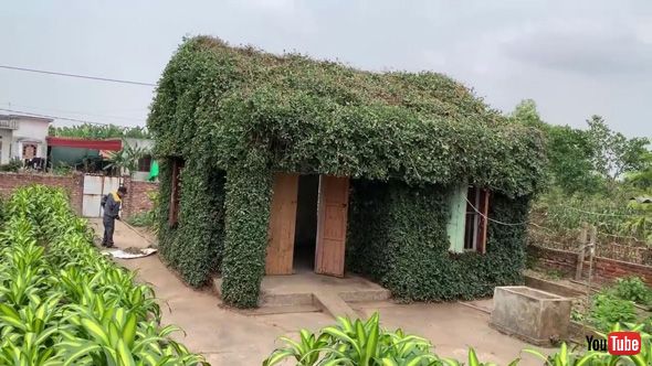 家 小屋 改装 ボランティア 生い茂った 茂み 草木 ツタ 剪定 ビフォーアフター 変身