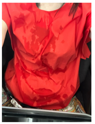 森口博子、機内で大惨事