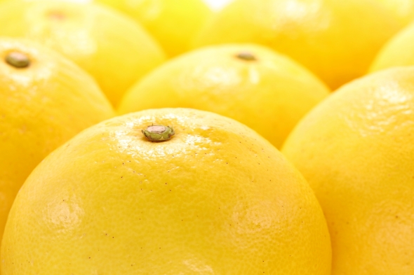 高知県の問診票