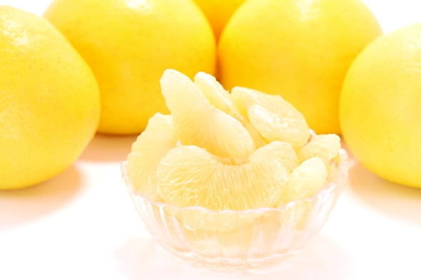 高知県の問診票