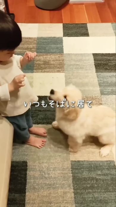 いつも一緒にいる犬好きの息子とゴールデンレトリバー