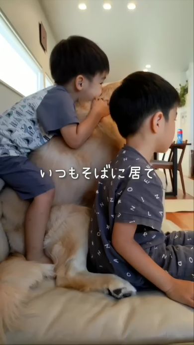 いつも一緒にいる犬好きの息子とゴールデンレトリバー