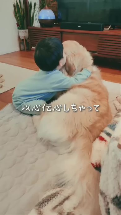いつも一緒にいる犬好きの息子とゴールデンレトリバー