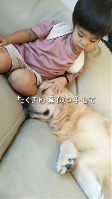 いつも一緒にいる犬好きの息子とゴールデンレトリバー