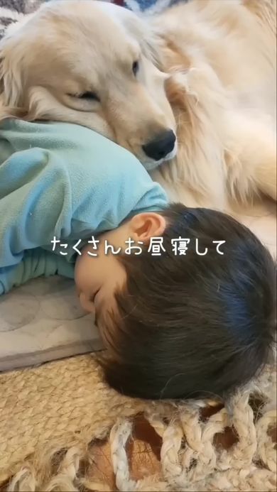 いつも一緒にいる犬好きの息子とゴールデンレトリバー