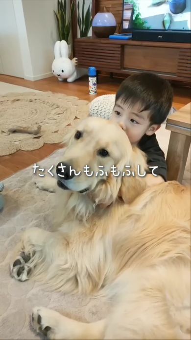 いつも一緒にいる犬好きの息子とゴールデンレトリバー