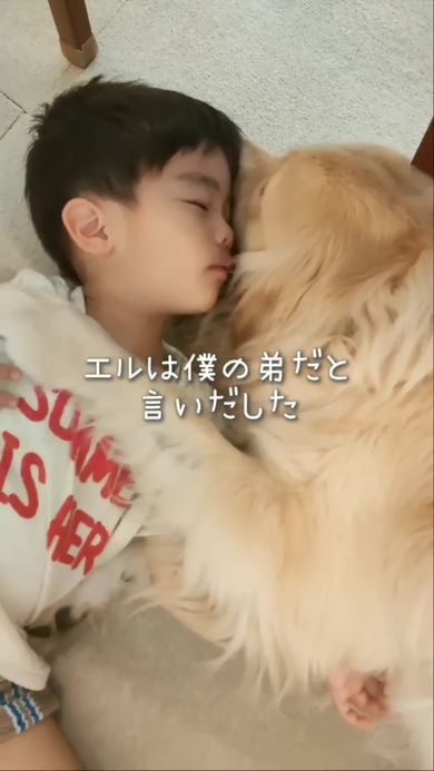 一緒に暮らしているゴールデンレトリバーは自分の弟だと言う犬好きの息子