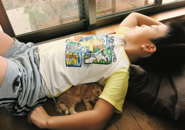 息子 猫 仲良く育った ビフォーアフター 同じ格好 添い寝 仲良し 保護猫