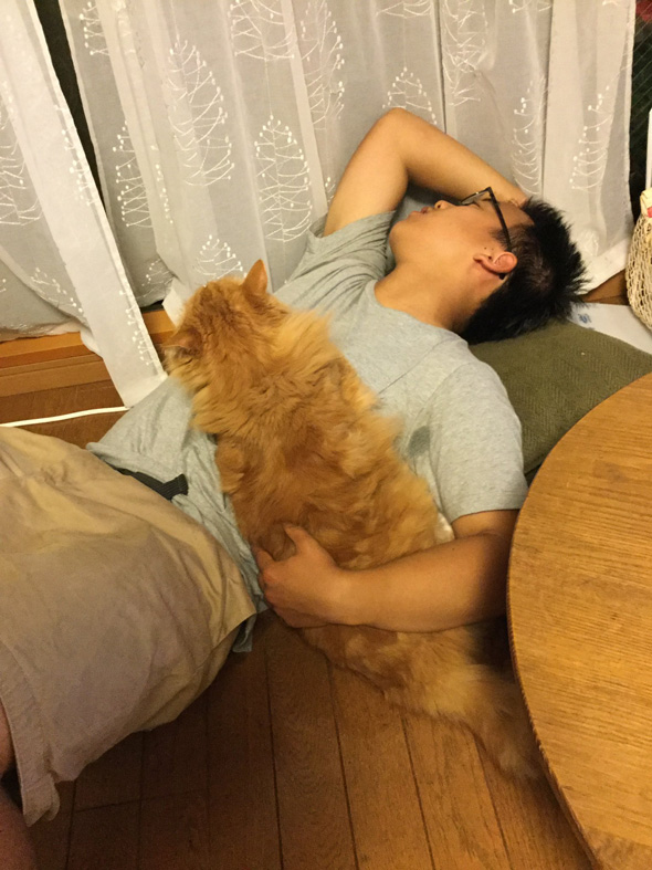 息子 猫 仲良く育った ビフォーアフター 同じ格好 添い寝 仲良し 保護猫