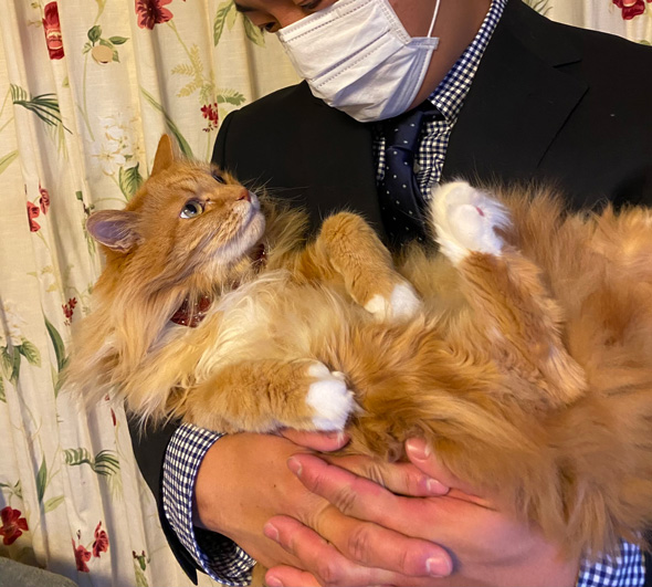 息子 猫 仲良く育った ビフォーアフター 同じ格好 添い寝 仲良し 保護猫