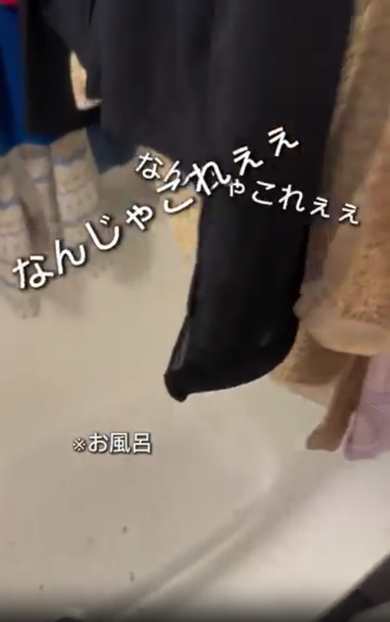 洗濯機からわかめが発生