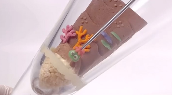 夏のカービィのパフェグラス