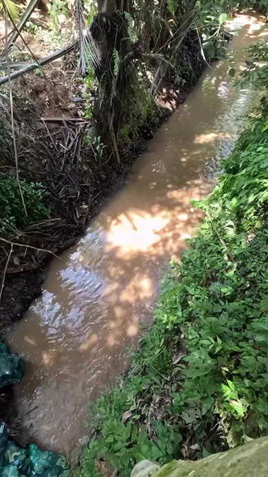 1トンのプラスチックごみを清掃する