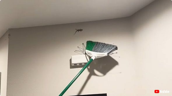 宿泊先への侵入者に怯える仲里依紗