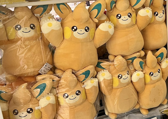 見つめるパモット