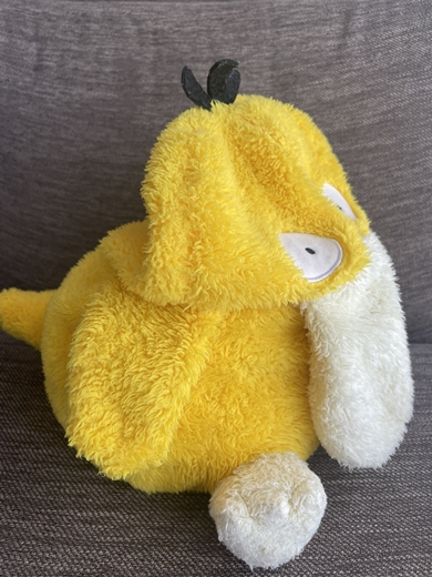 綿が足りなかったコダック