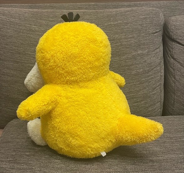 綿が足りなかったコダック