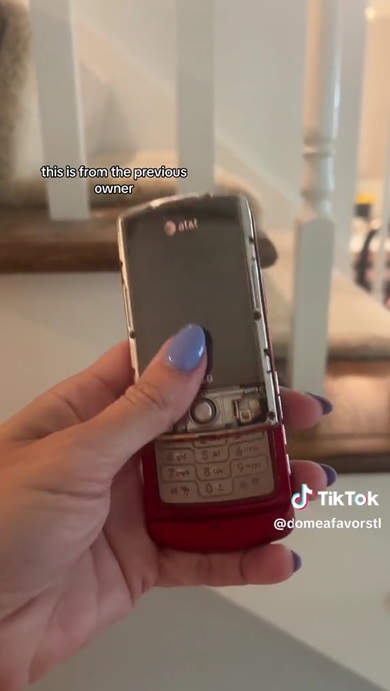 男の子が見つけたもの