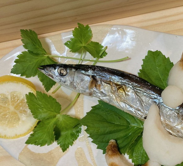 さんまと猫の大根おろし