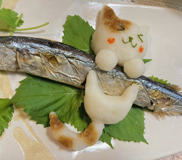 さんまと猫の大根おろし