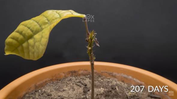 YouTubeチャンネル「Boxlapse」