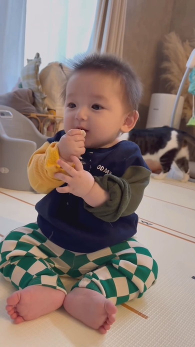 生後半年の赤ちゃん