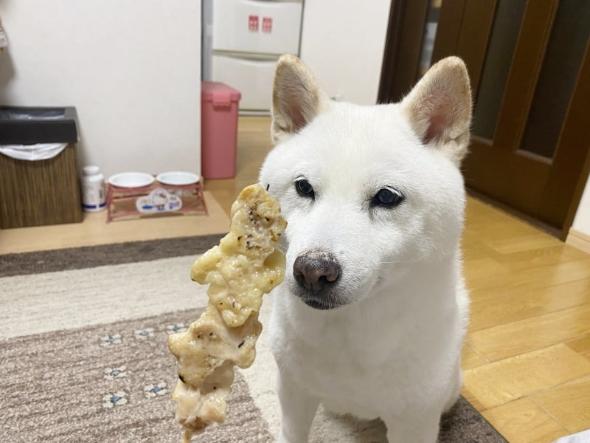 焼き鳥を堪能するワンコ