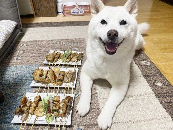 焼き鳥を堪能するワンコ