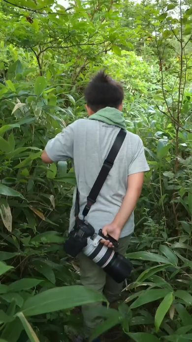 ナキウサギを撮影するために然別湖の森を歩く9歳のカメラマン