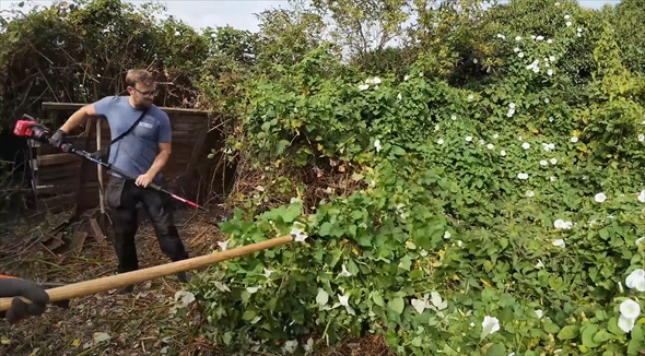 荒れた庭　ビフォーアフター　清掃