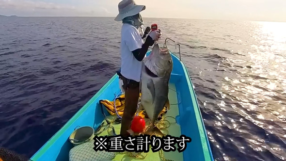 巨大魚 釣り 漁協 港 売ったら 金額 ガーラ アジ 沖縄県 伊是名島