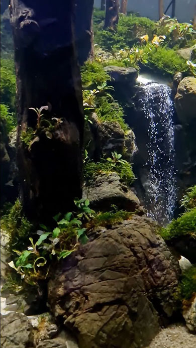 滝だと思っていたらアクアリウムだった