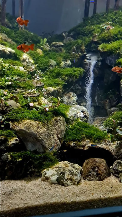 滝だと思っていたらアクアリウムだった