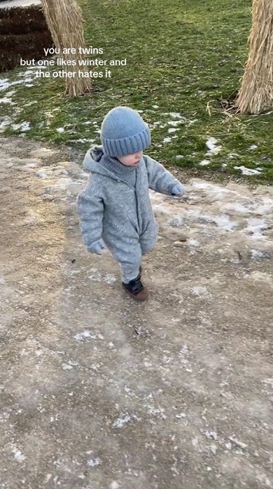 双子の赤ちゃん