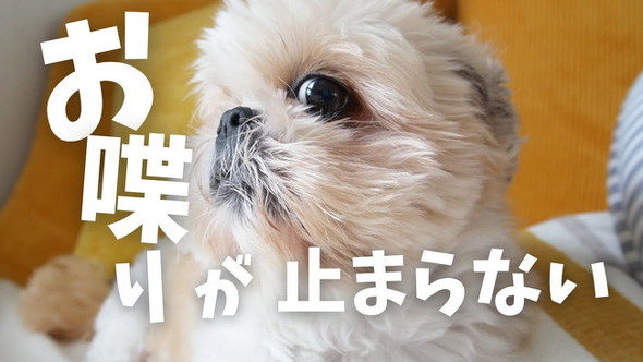 サムネ