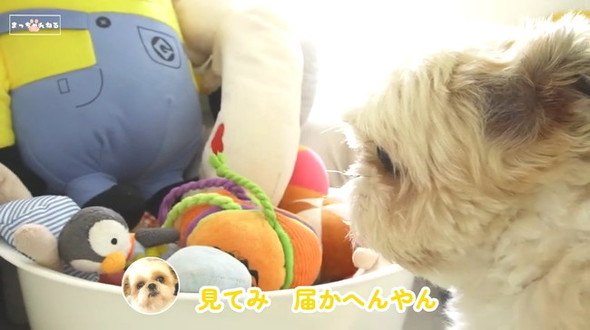 届かへんやん