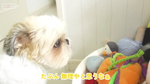 無理と思う