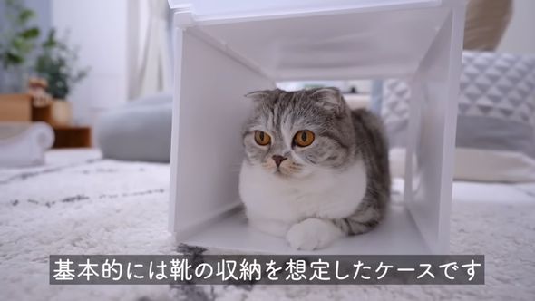 カインズの積み重ねたまま取り出せる組立式ケースは靴の収納を想定