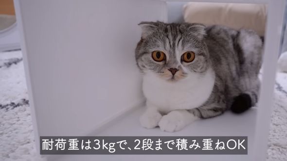 カインズの積み重ねたまま取り出せる組立式ケースのワイドハイタイプ